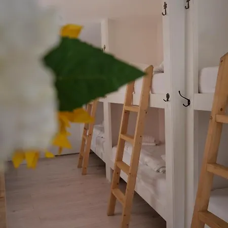 Tiny Private City Rooms Haarlem Exterior photo