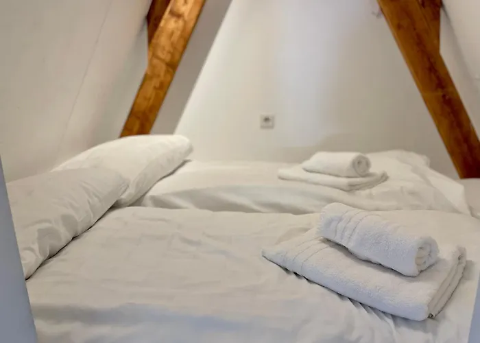Tiny Private City Rooms Haarlem